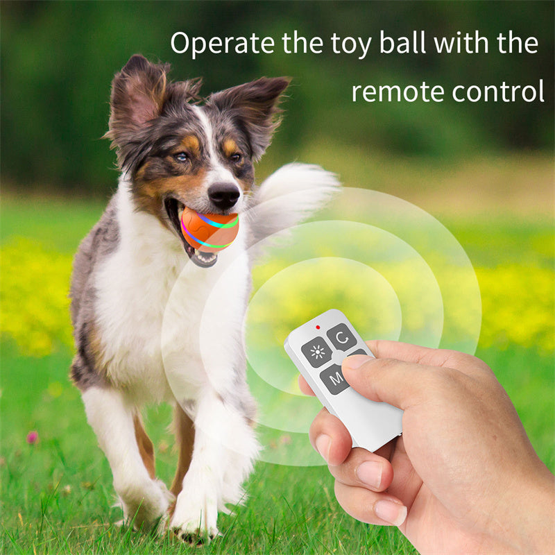Smart Rolling Cat Ball – Endless Fun for Curious Cats