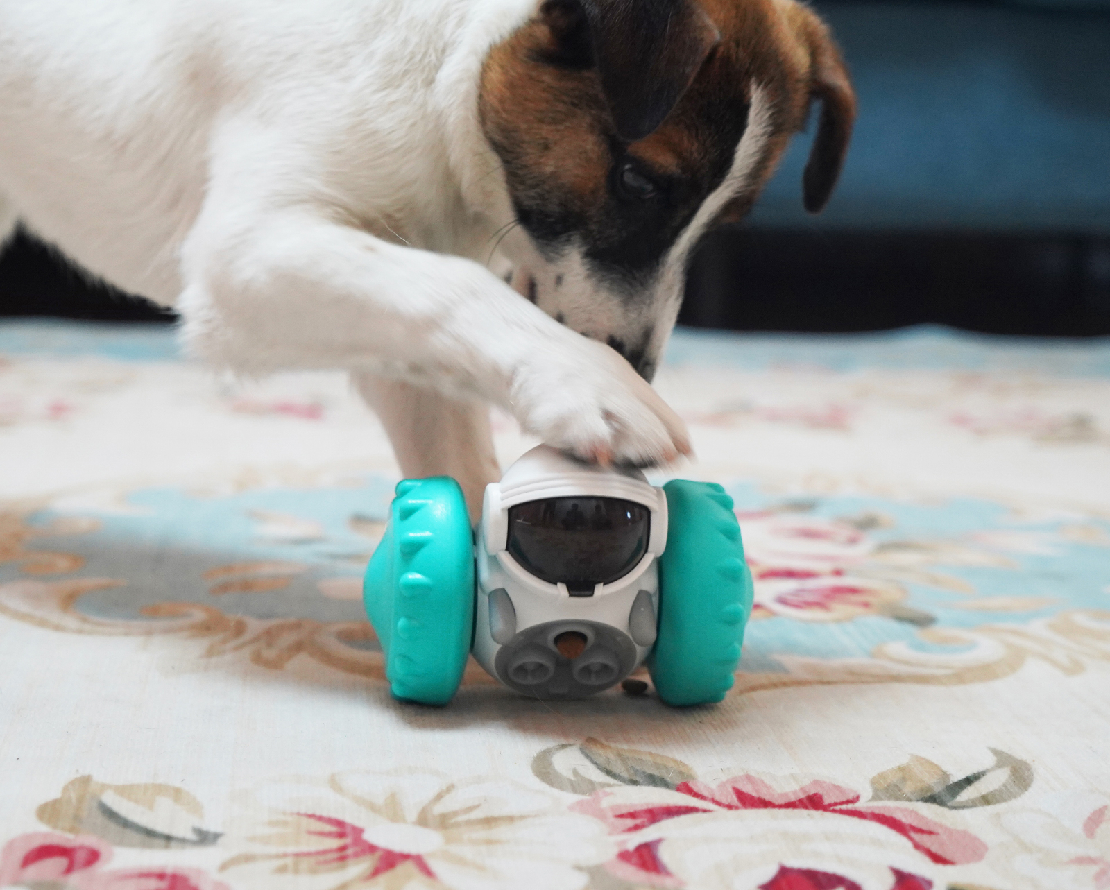 Interactive Pet Toy Car for Fun, Playful Feeding
