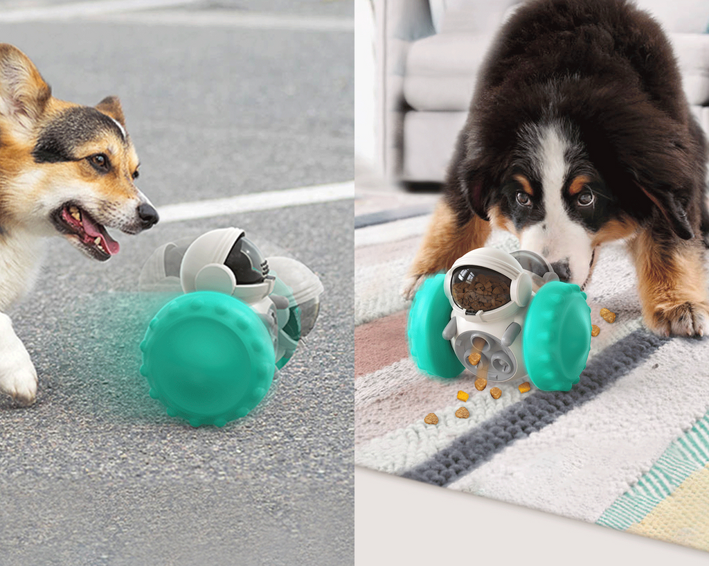Interactive Pet Toy Car for Fun, Playful Feeding