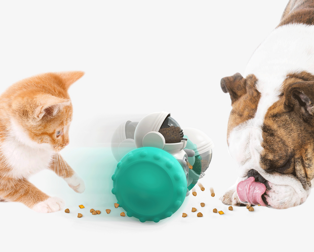 Interactive Pet Toy Car for Fun, Playful Feeding