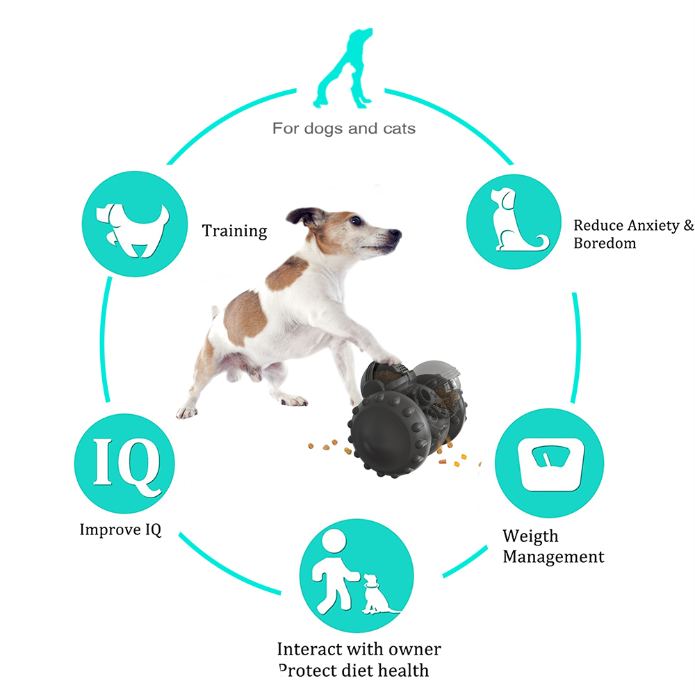 Interactive Pet Toy Car for Fun, Playful Feeding